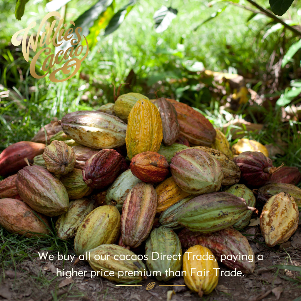 Clementina's Almonds. Milk chocolate. 50g bar