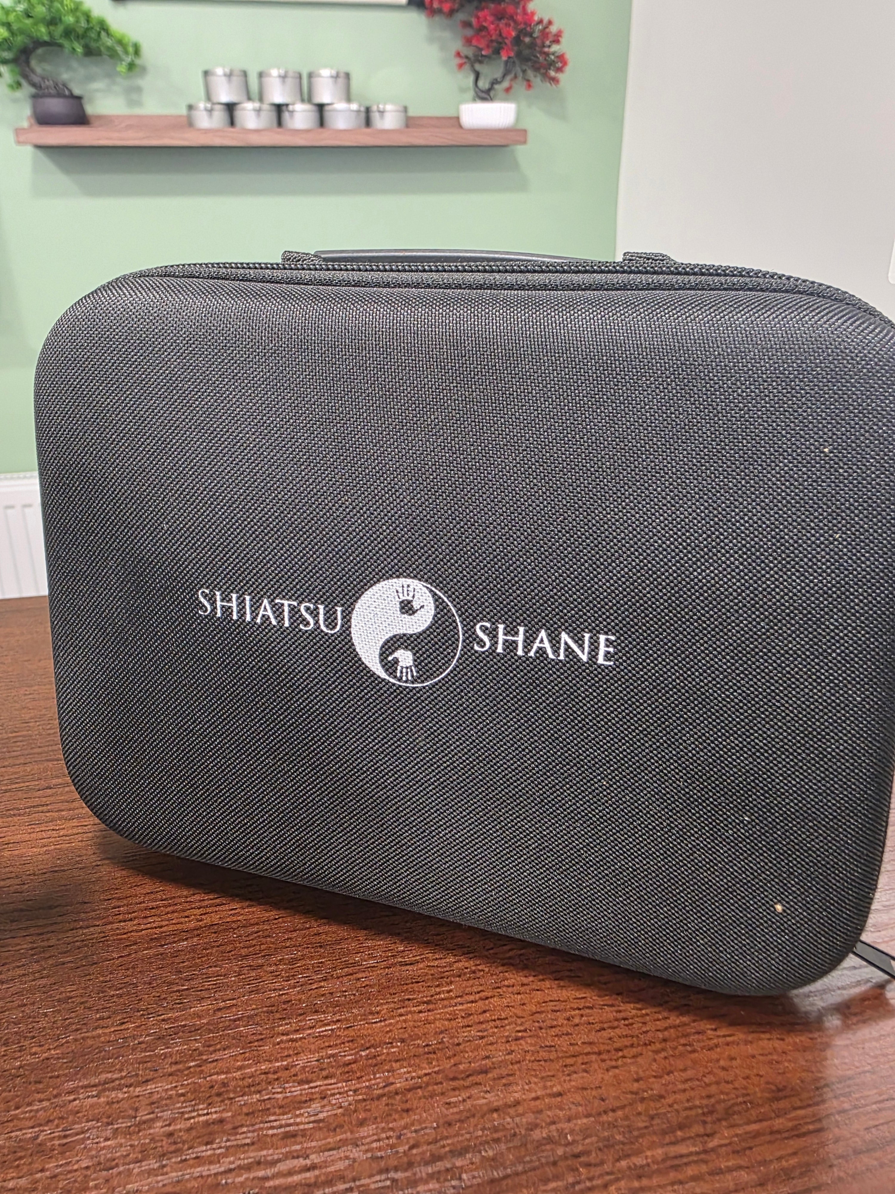 shiatsu shane hot\cold massage gun