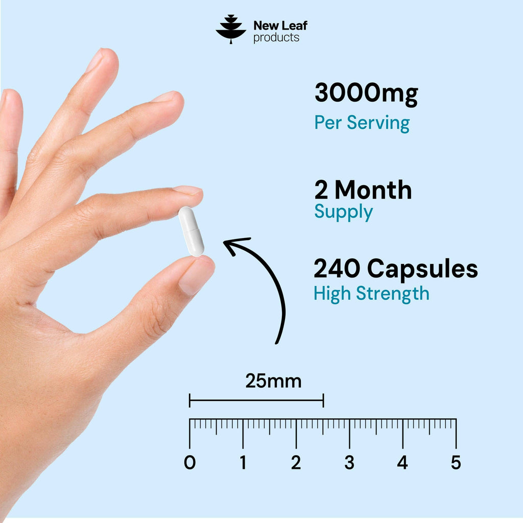 Creatine Monohydrate Capsules