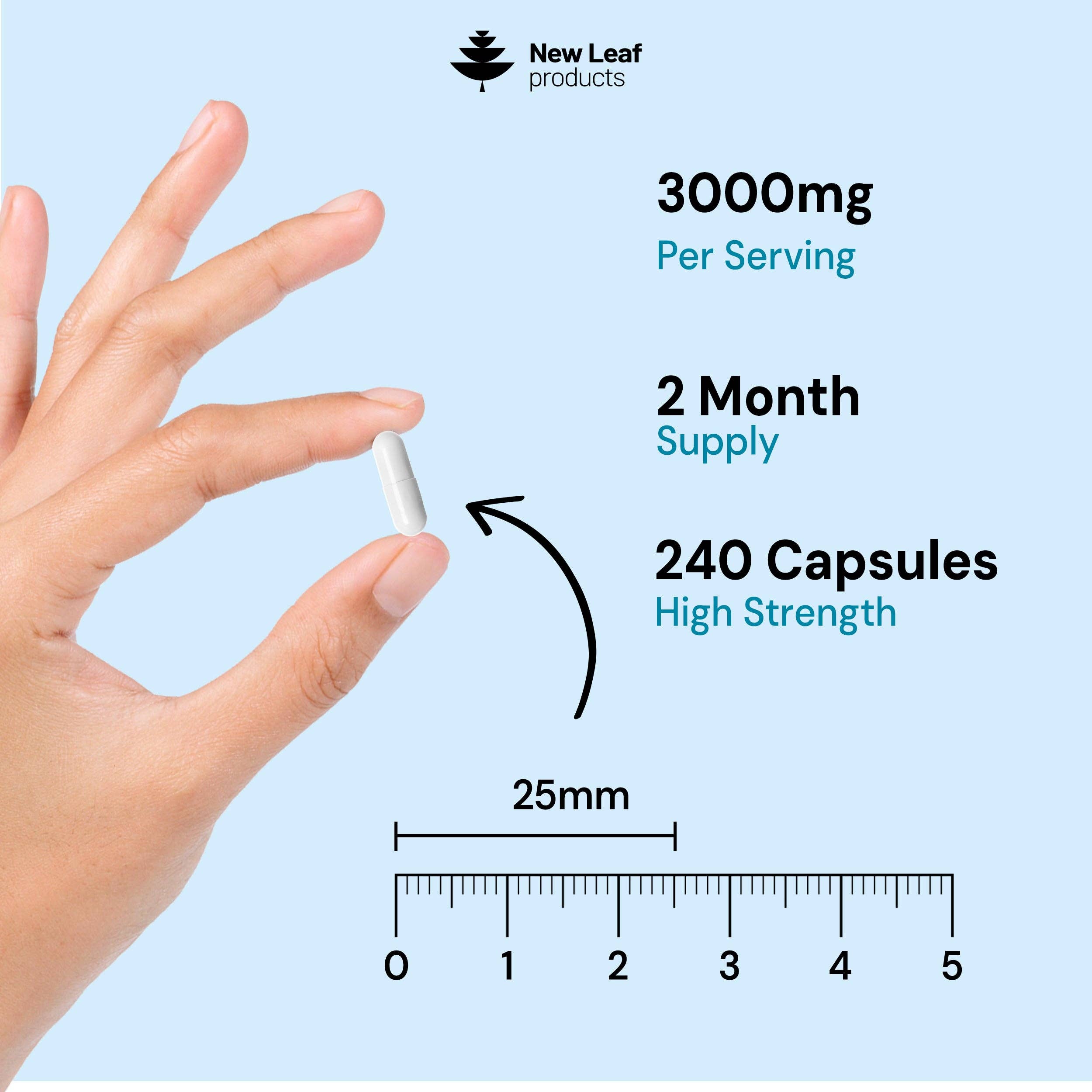 Creatine Monohydrate Capsules