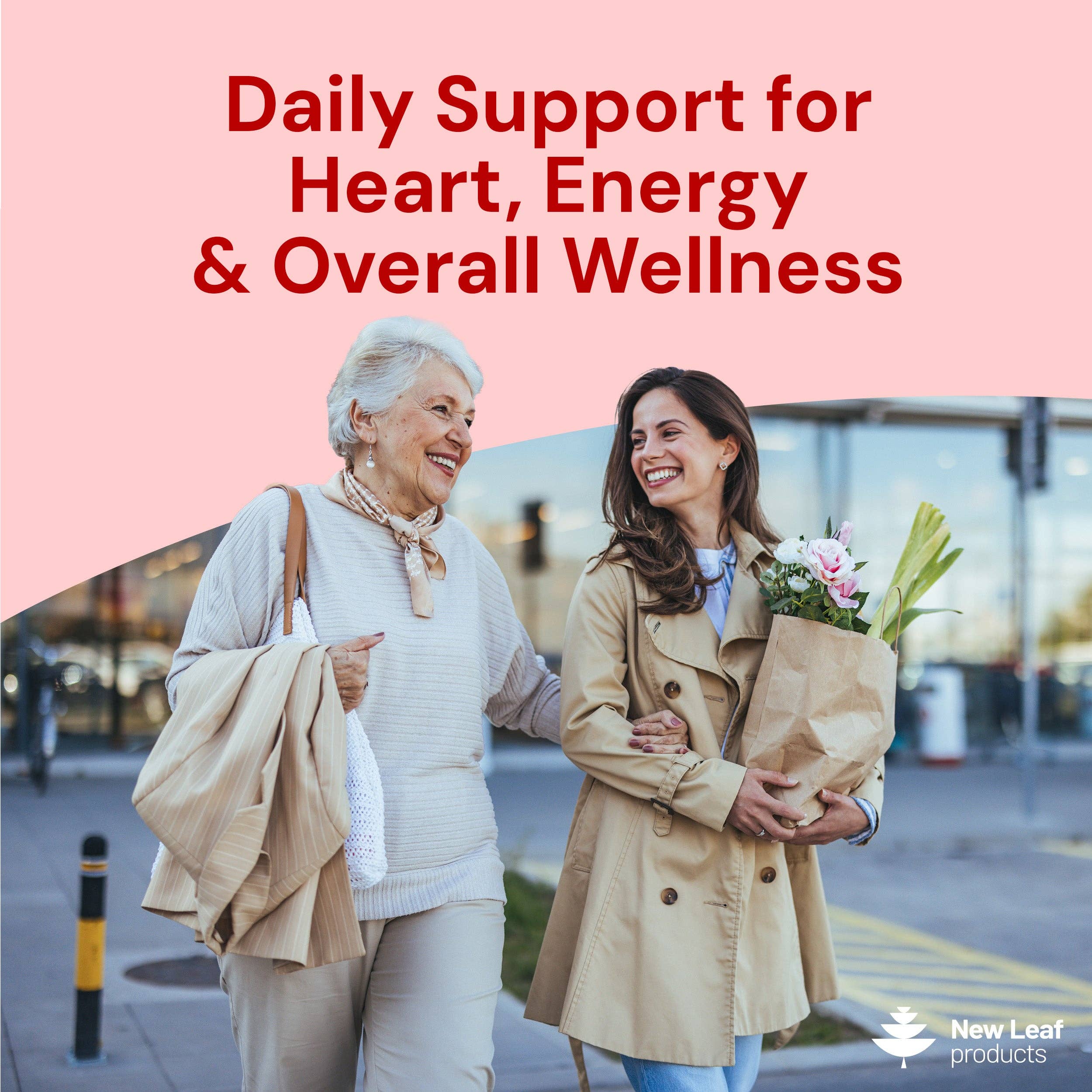 Blood Pressure Support Capsules