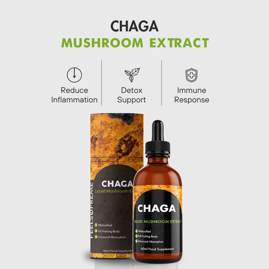 Chaga Mushroom Liquid Extract 60ml | Immune Support
