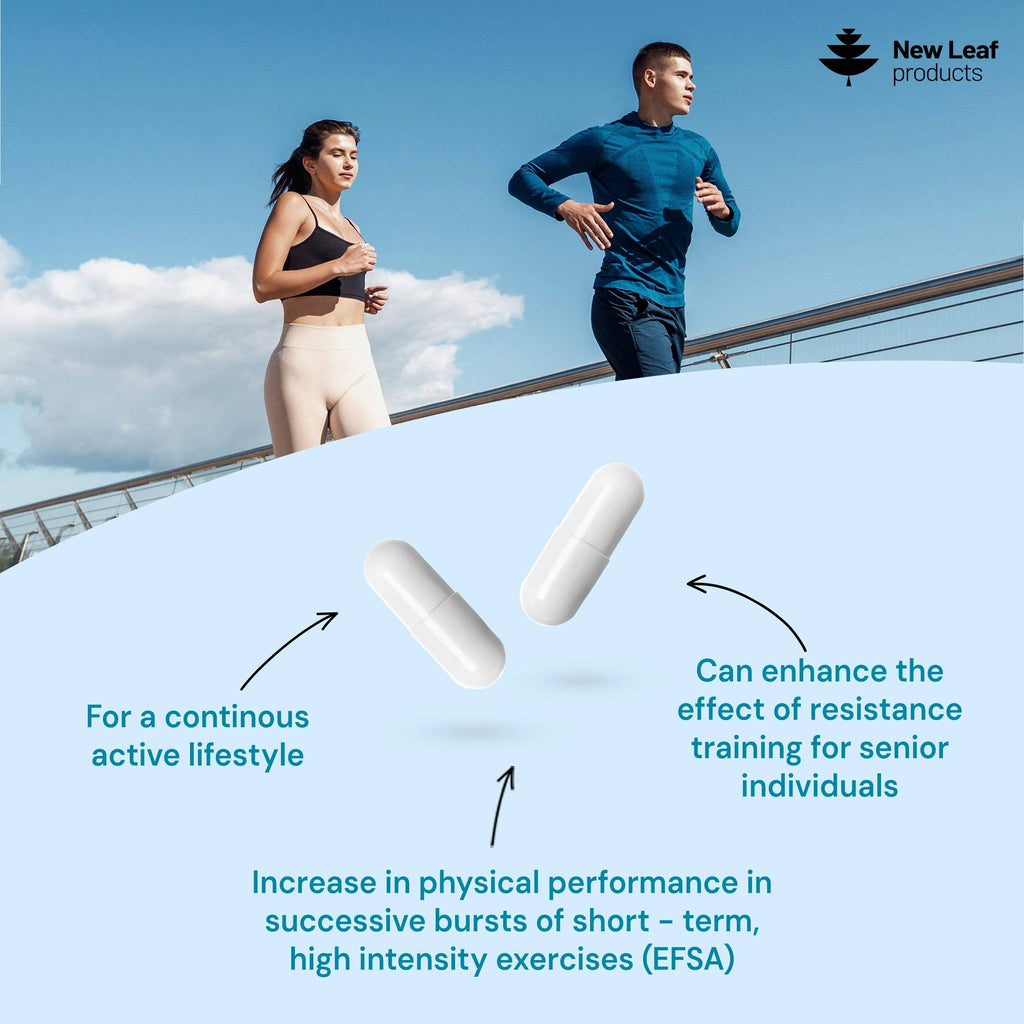 Creatine Monohydrate Capsules