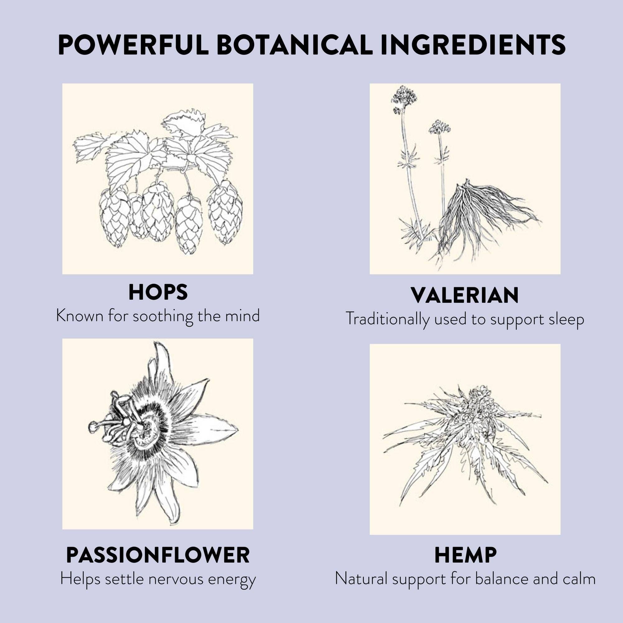 Natural Sleep Patches with Valerian, Hops & Passionflower